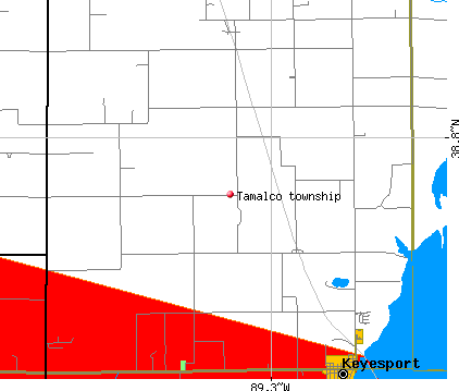 Tamalco township, IL map
