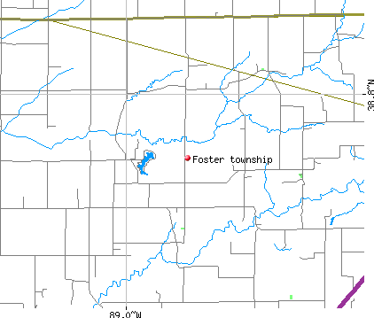 Foster township, IL map