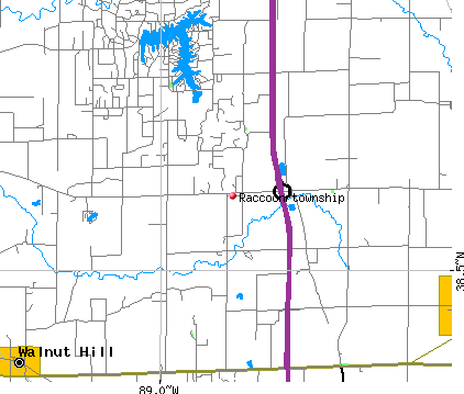 Raccoon township, IL map