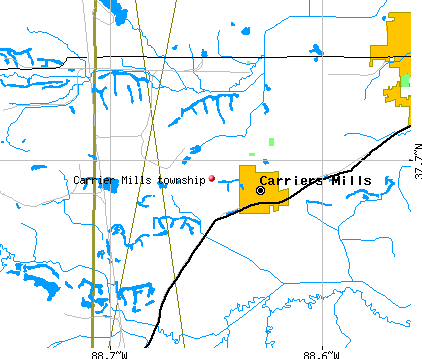Carrier Mills township, IL map