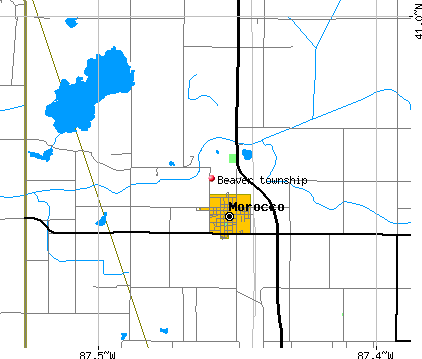 Beaver township, IN map