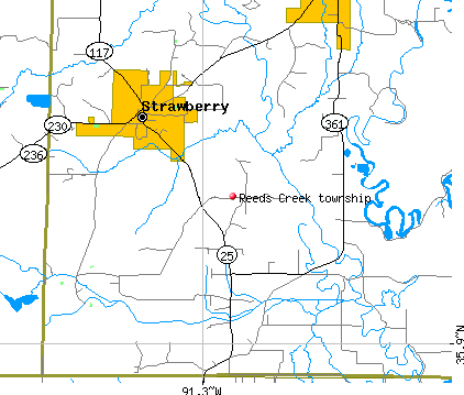Reeds Creek township, AR map