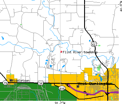 Flint River township, IA map