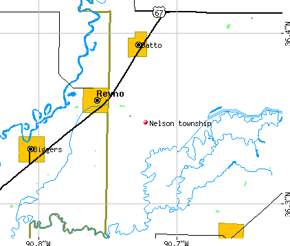 Nelson township, AR map
