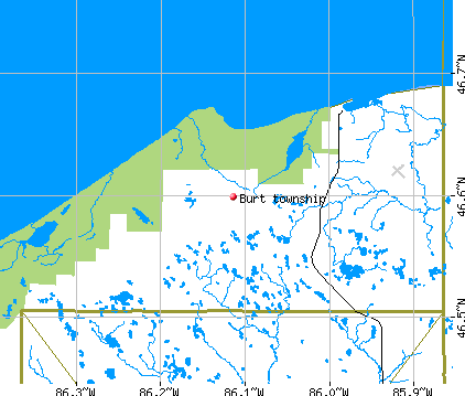 Burt township, MI map