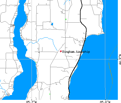 Bingham township, MI map