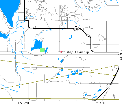 Custer township, Antrim County, Michigan (MI) Detailed Profile