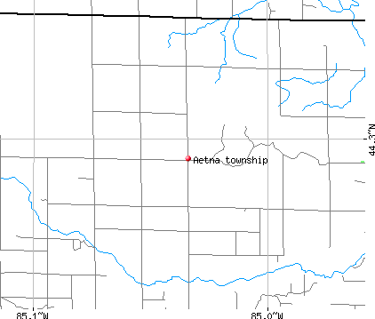 Aetna township, MI map