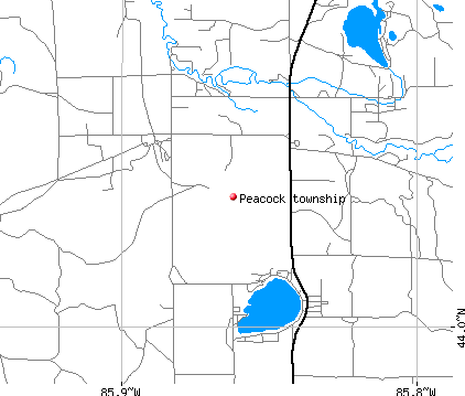 Peacock township, MI map