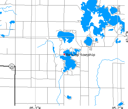 Martiny township, MI map
