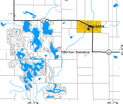 Morton township, MI map