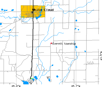 Everett township, MI map