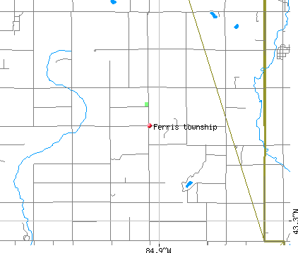 Ferris township, MI map