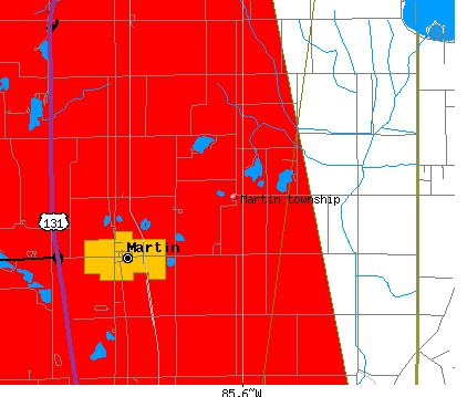 Martin township, MI map