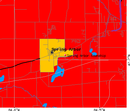 Spring Arbor township, MI map