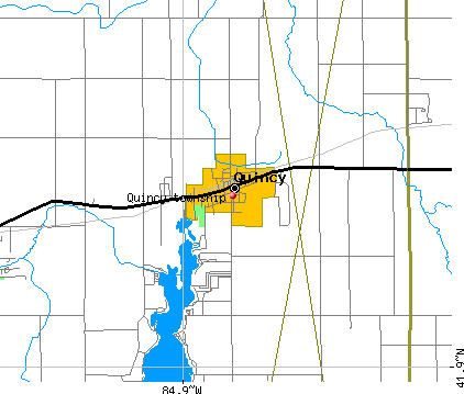 Quincy township, Branch County, Michigan (MI) Detailed Profile