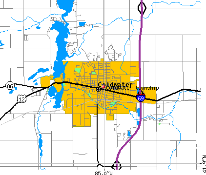 Coldwater township, MI map