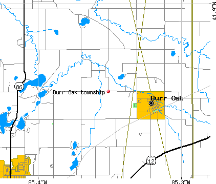 Burr Oak township, MI map