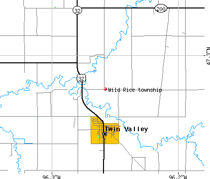 Wild Rice township, MN map