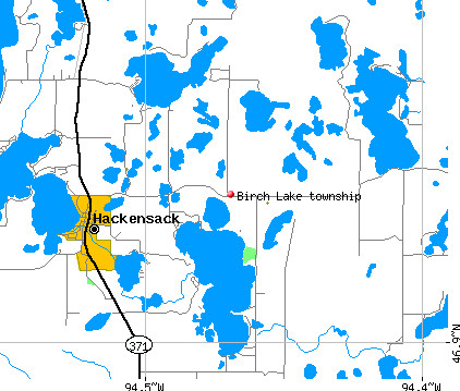 Birch Lake township, MN map