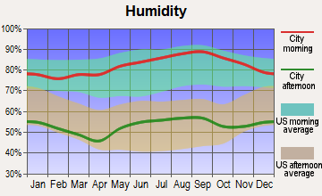 Cramerton, North Carolina humidity