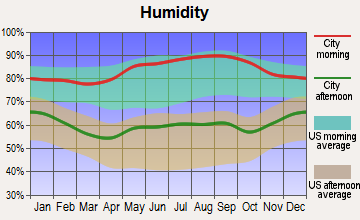 Celina, Tennessee humidity