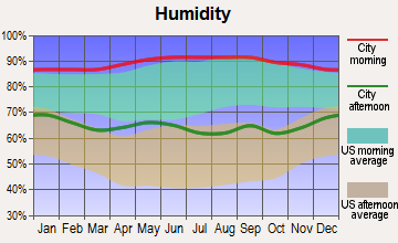 Palacios, Texas humidity