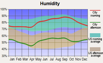 Dillwyn, Virginia humidity