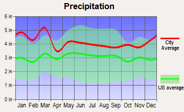Roebuck, South Carolina average precipitation