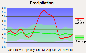 Spring Hill, Florida average precipitation