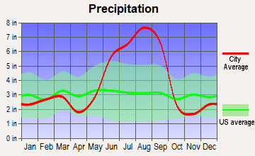 Tampa, Florida average precipitation