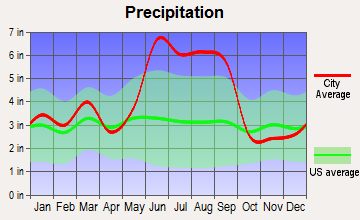 The Villages, Florida average precipitation