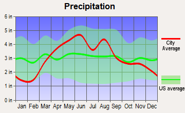 Moline, Illinois average precipitation