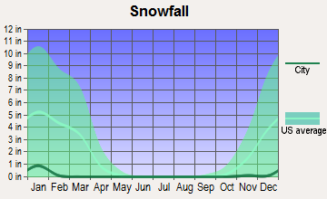 Paradise, Nevada snowfall