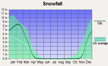 Roselle, New Jersey snowfall