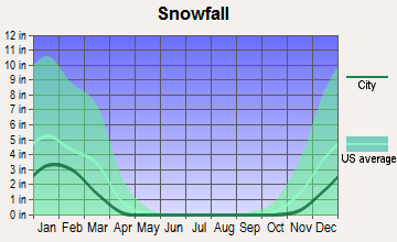 Robbins, Tennessee snowfall