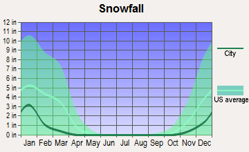 Salmon Creek, Washington snowfall