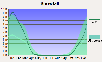 Charleston, West Virginia snowfall