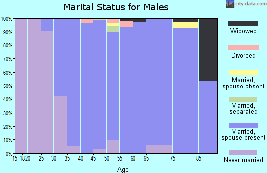 Zip code 07078 marital status for males