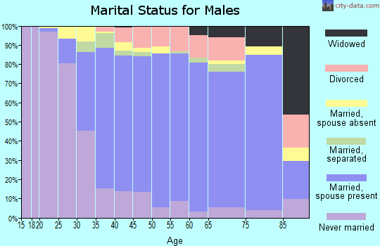 Zip code 08822 marital status for males