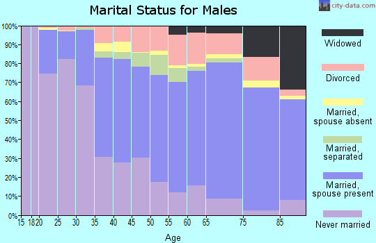12010 Zip Code (Amsterdam, New York) Profile - homes, apartments ...