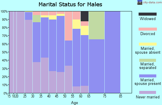 20166 Zip Code (Ashburn, Virginia) Profile - homes, apartments, schools ...