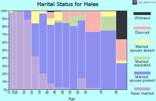 28036 Zip Code (Davidson, North Carolina) Profile - homes, apartments ...