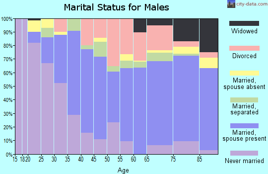 28805 Zip Code (Asheville, North Carolina) Profile - homes, apartments ...