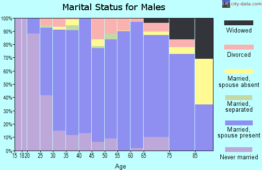 AREA CODE 29316 visual data 8