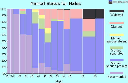 Zip code 32408 marital status for males