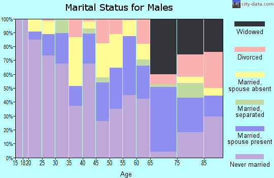 Zip code 33128 marital status for males