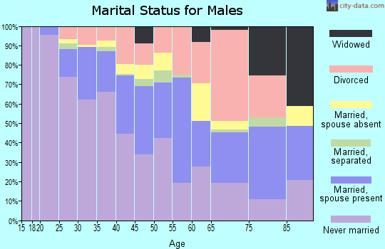 Zip code 33137 marital status for males