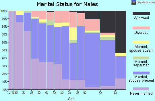 46410 Zip Code (Merrillville, Indiana) Profile - homes, apartments ...