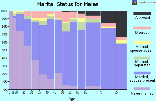 Zip code 78596 marital status for males